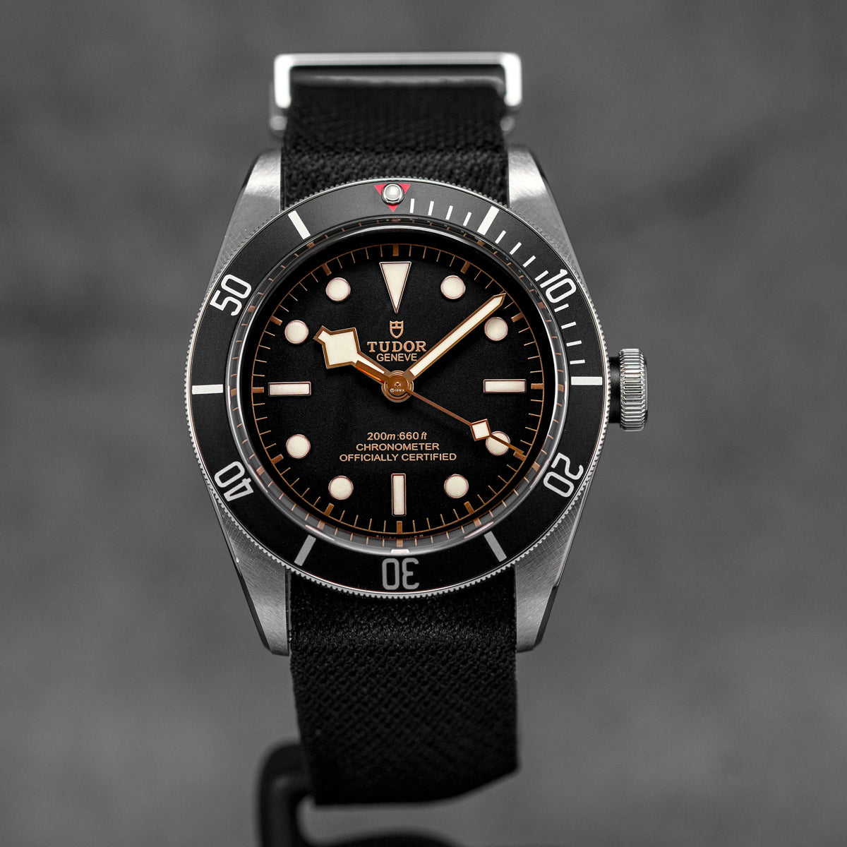 Harga jam tudor black bay sales