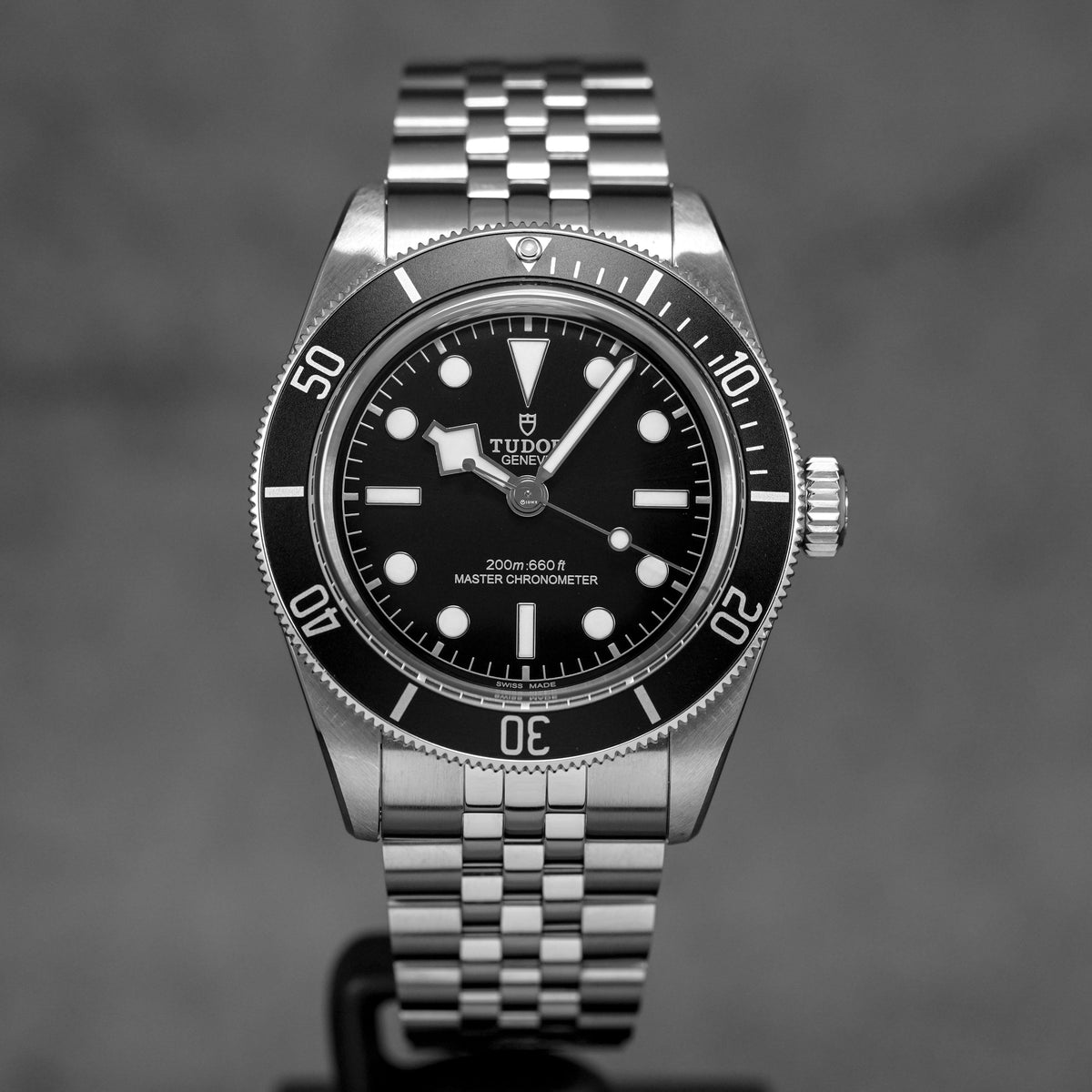 Harga Tudor Black Bay Monochrome Jubilee