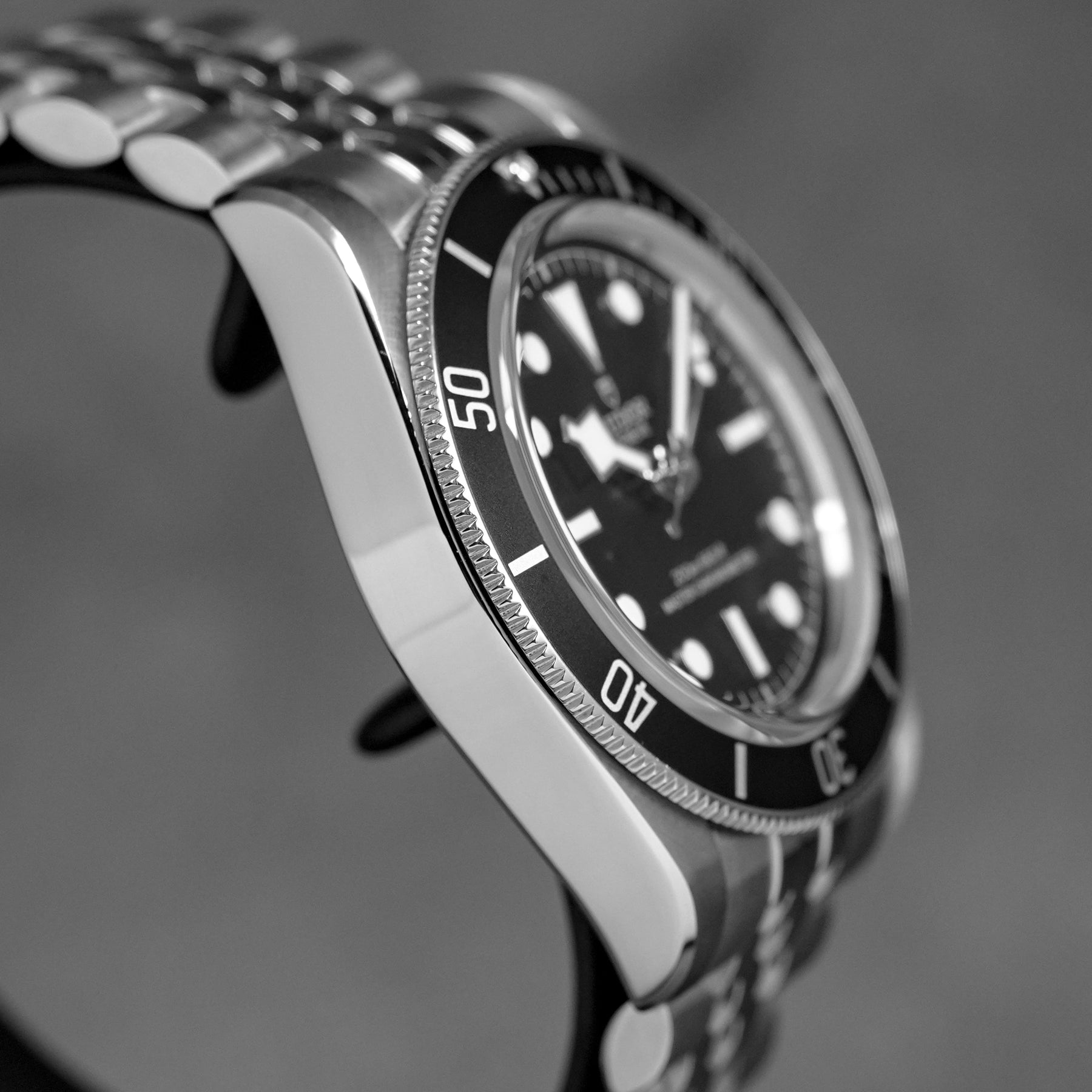 Harga Tudor Black Bay Monochrome Jubilee