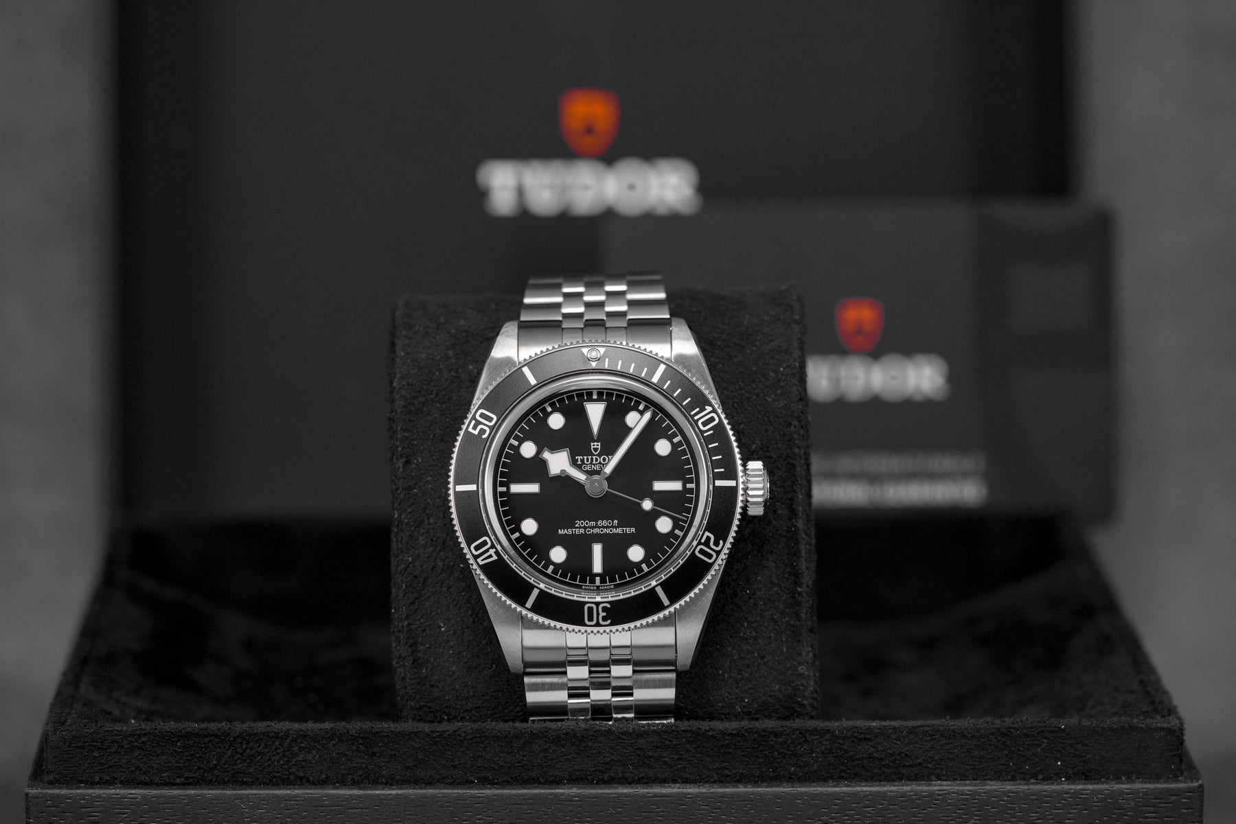 Harga Tudor Black Bay Monochrome Jubilee