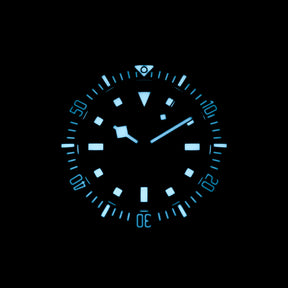 Harga Tudor Pelagos FXD Titanium Black