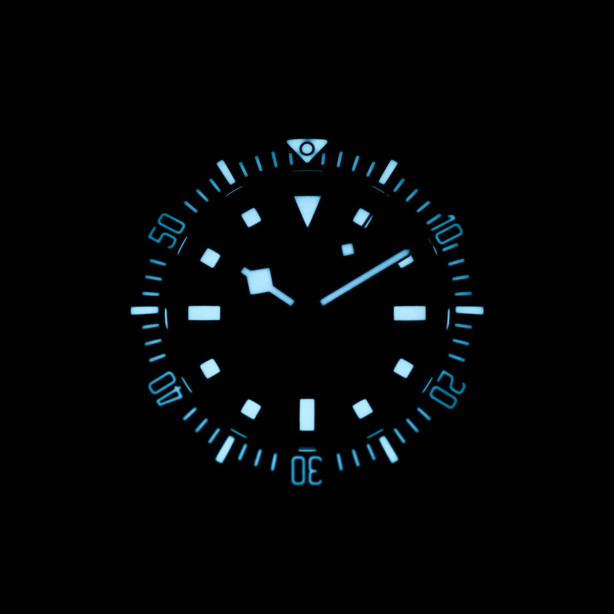 Tudor Pelagos Fxd
