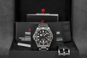 Harga Tudor Pelagos LHD Titanium Black