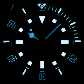 Tudor Pelagos Titanium