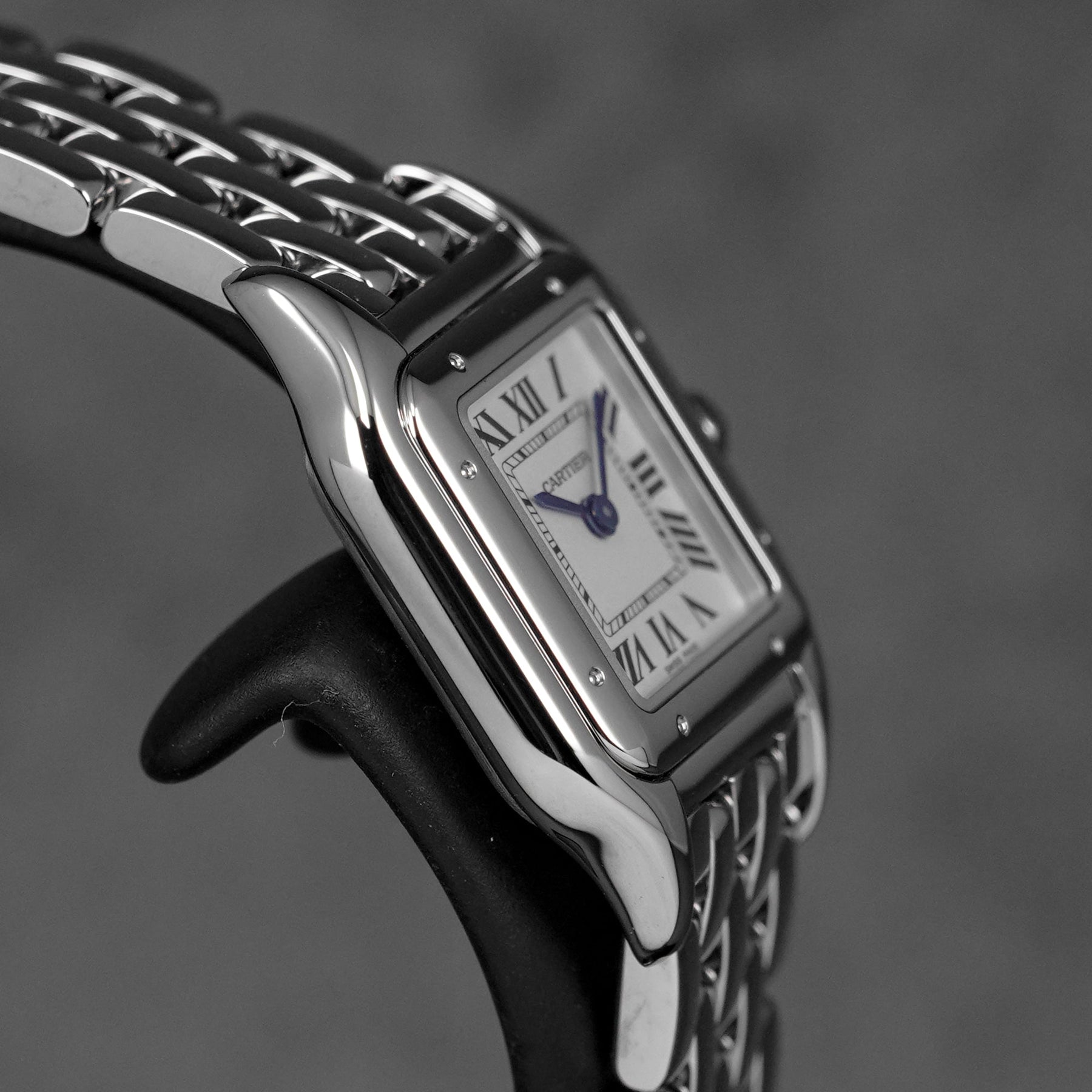PANTHÈRE S SILVER DIAL (2026)