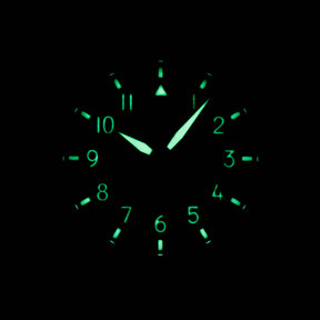 harga iwc pilot green