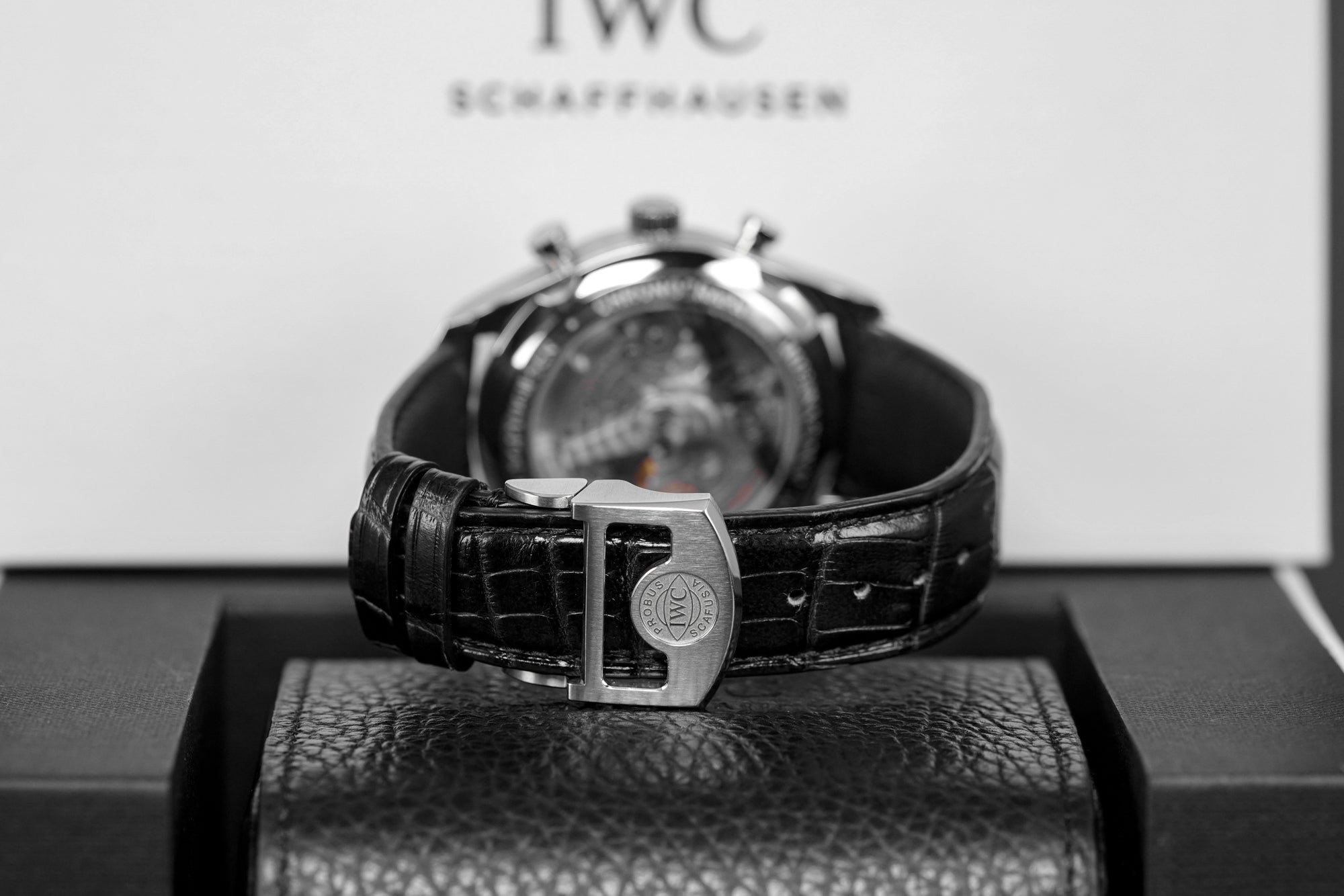 PORTUGIESER 42MM CHRONOGRAPH SILVER DIAL (2022)
