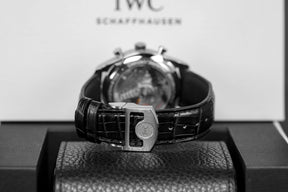 PORTUGIESER 42MM CHRONOGRAPH SILVER DIAL (2022)