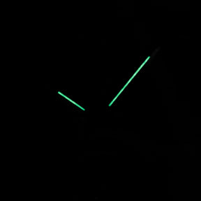 MASTER CONTROL GEOGRAPHIC SILVER DIAL (WATCH ONLY)