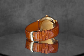 MASTER GEOGRAPHIC YELLOWGOLD SILVER DIAL (WATCH ONLY)