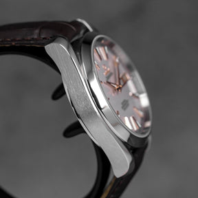 SEAMASTER AQUA TERRA 150M ANNUAL CALENDAR SILVER DIAL (2013)
