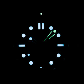SEAMASTER DIVER 300 BLACK DIAL (UNDATED)