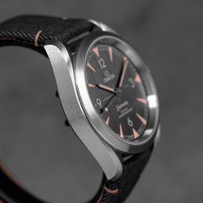 harga omega seamaster railmaster black