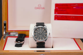 harga omega seamaster railmaster black