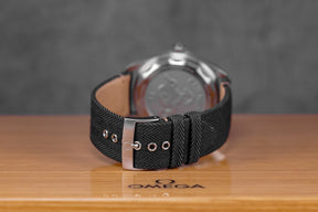 harga omega seamaster railmaster black