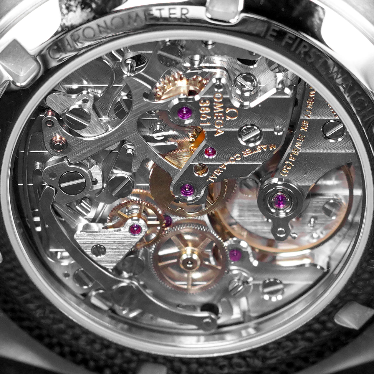 harga omega speedmaster moonwatch reverse panda