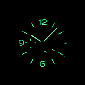 harga panerai luminor pam 321