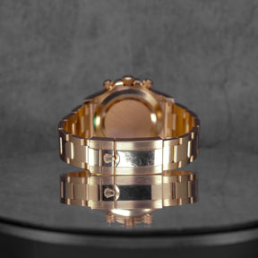 DAYTONA ROSEGOLD CHOCO ARABIC DIAL (WATCH ONLY)