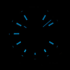 SKY-DWELLER BLUE OYSTER (2020)