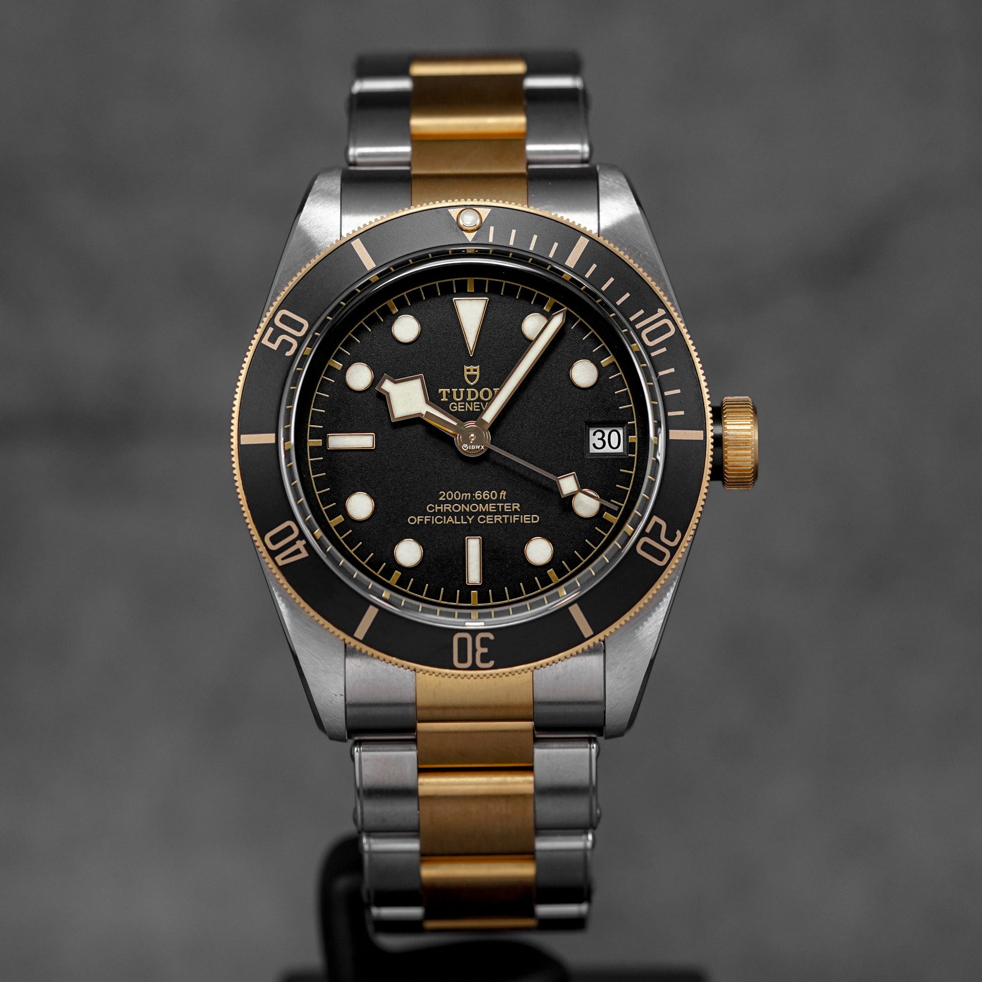 harga tudor black bay 41 s&g black