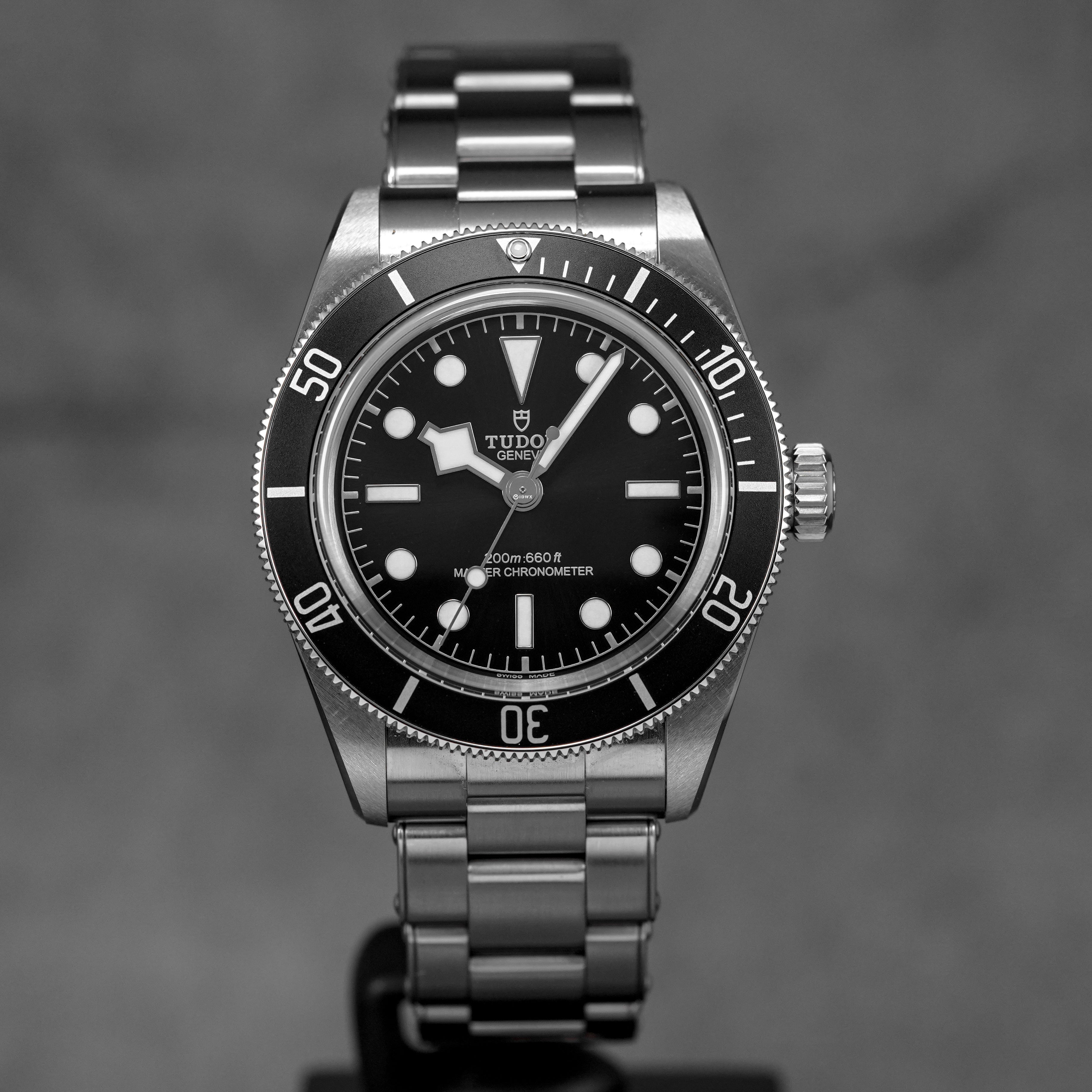 TUDOR BLACK BAY MONOCHROME OYSTER (2025) - OMNILUXE