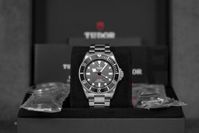 harga tudor pelagos titanium black