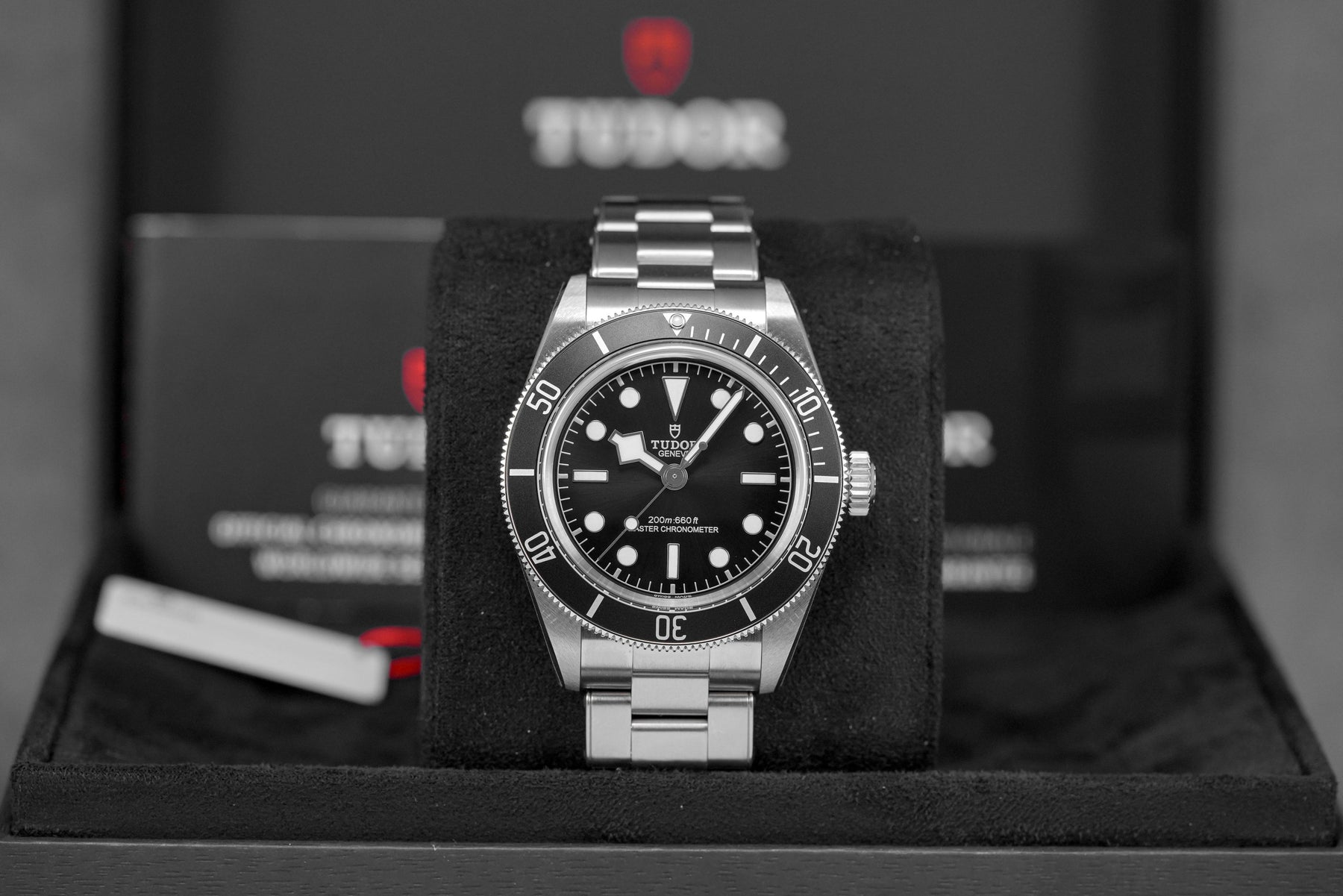 BLACK BAY MONOCHROME OYSTER (2025)